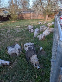 Trash all over the yard.