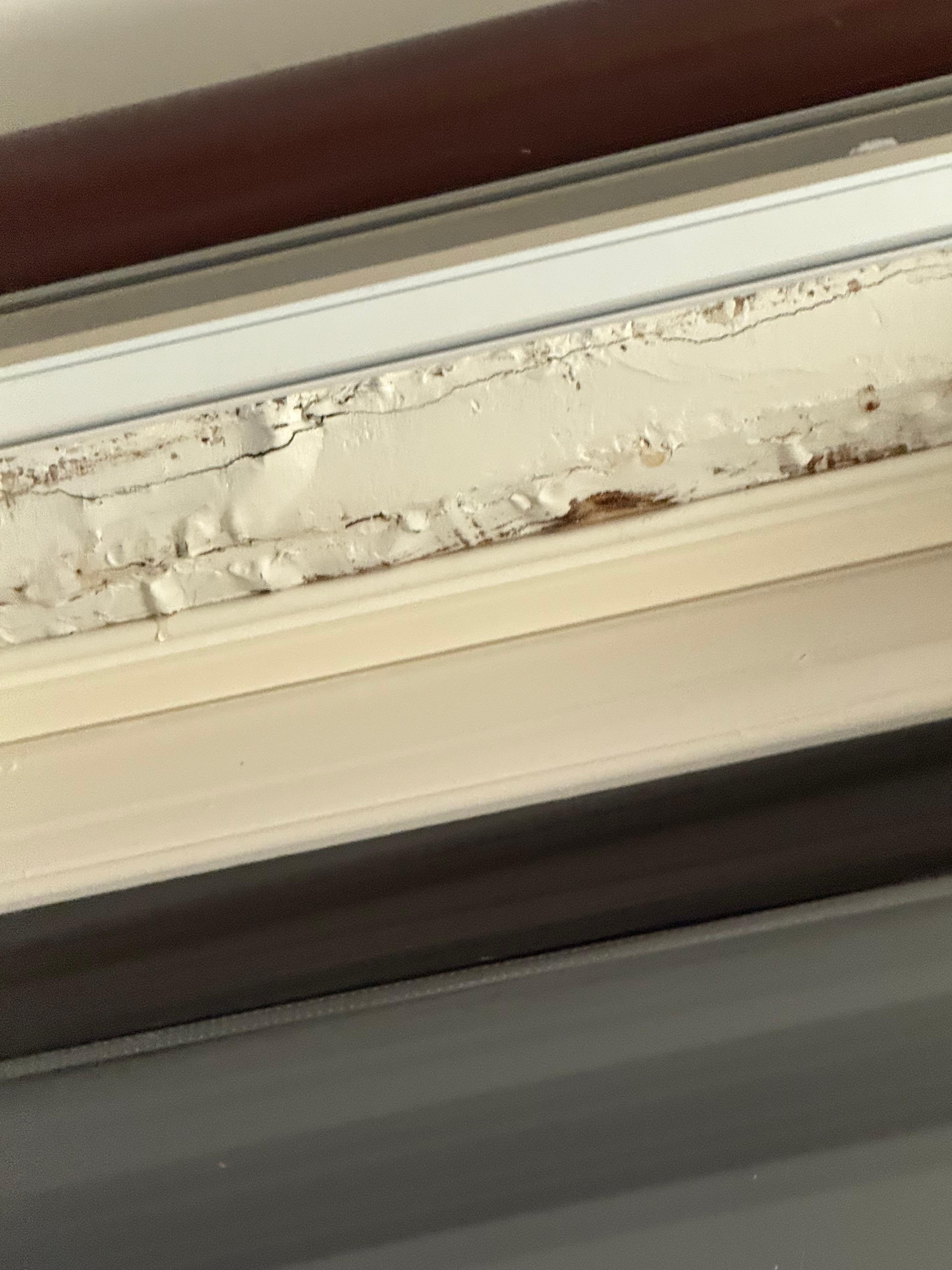 The windowsill is literally rotting away and stained