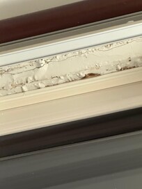 The windowsill is literally rotting away and stained