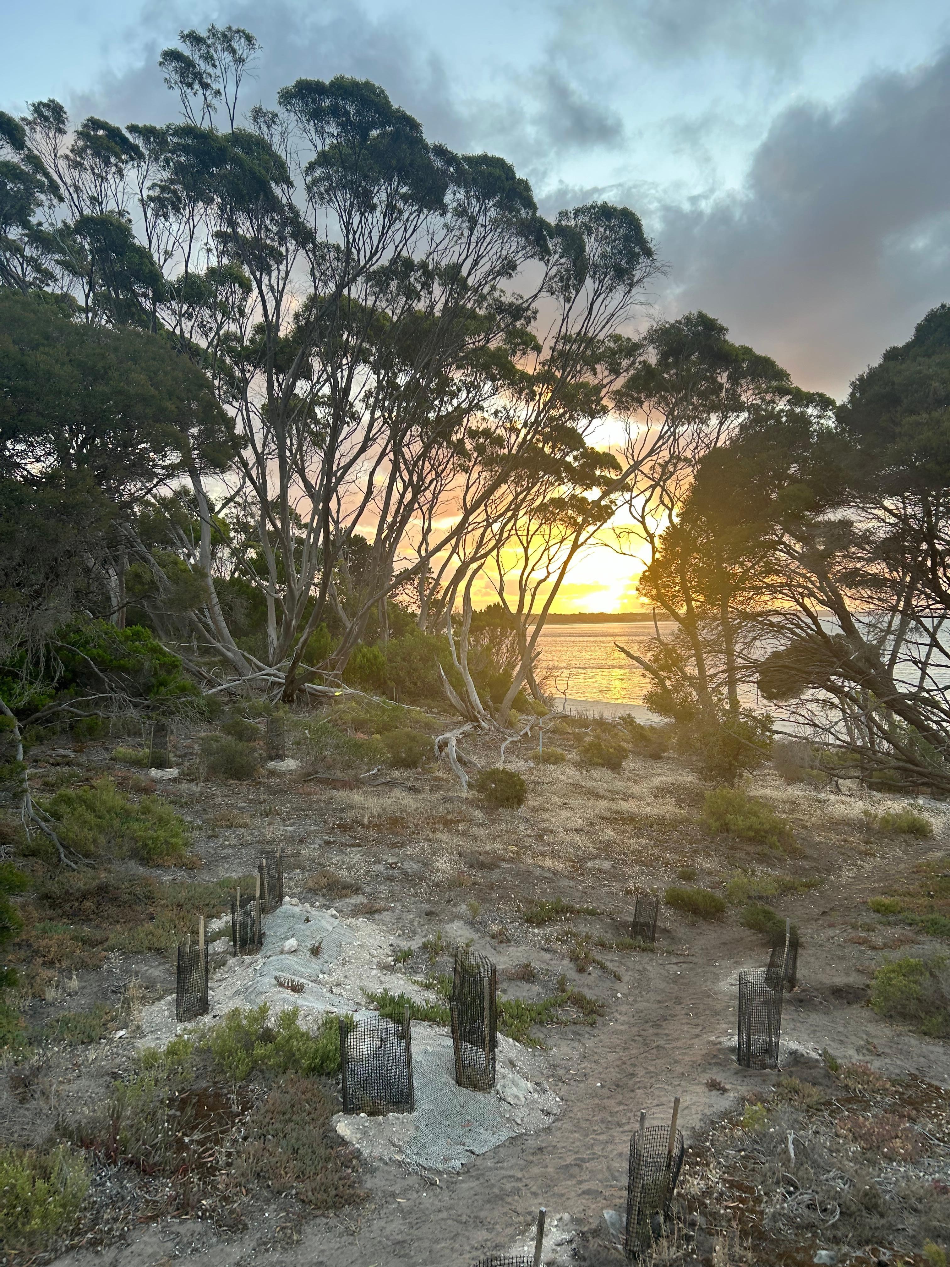 View from bed in open plan living 