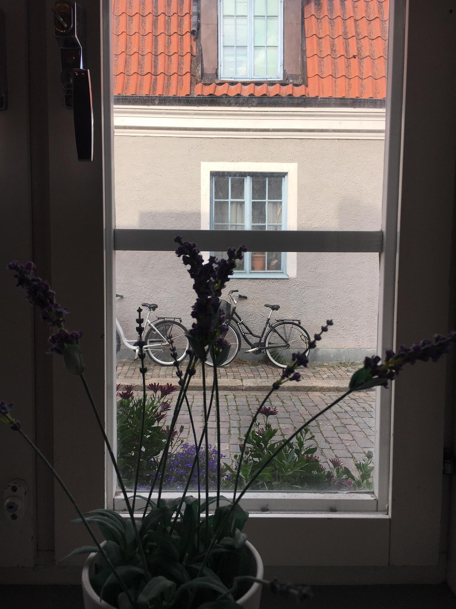 Utsikt mot lugn sidogata