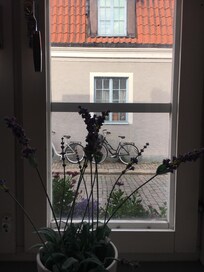 Utsikt mot lugn sidogata