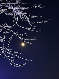 Tomada desde el hotel