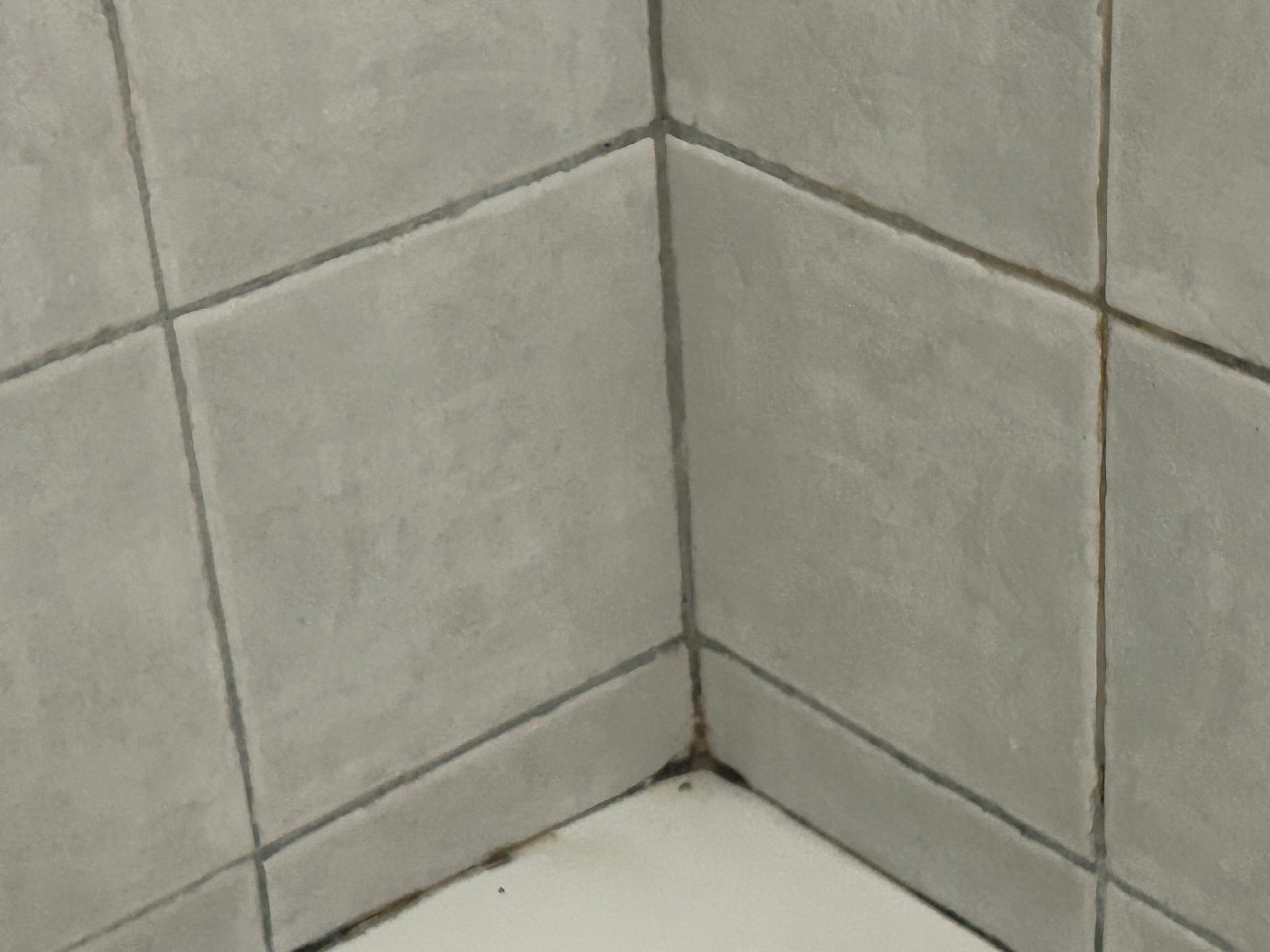 Shower mold