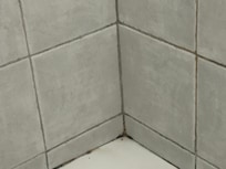 Shower mold