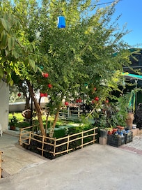 Gardens/patio