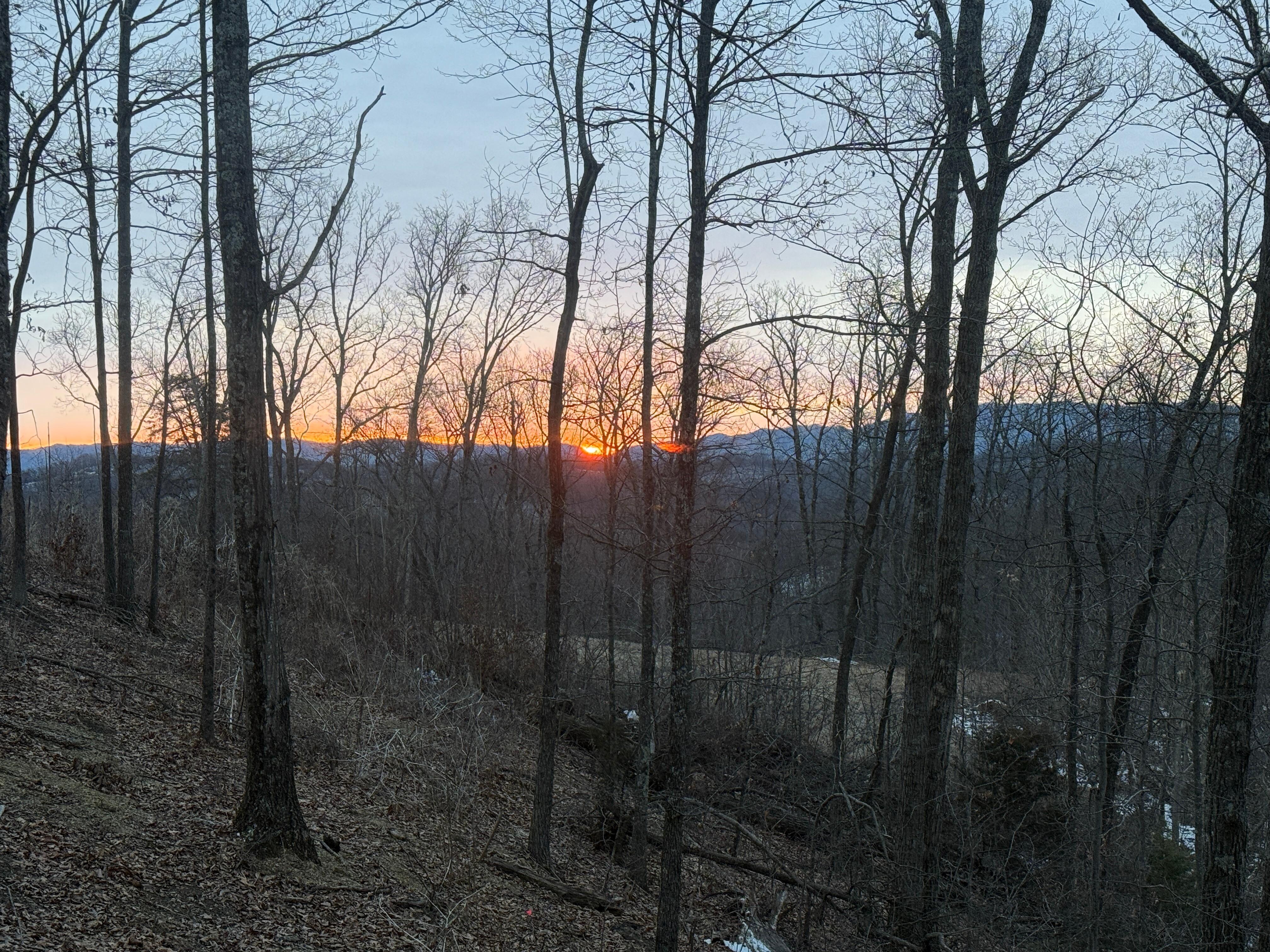Sunrise at the cabin.