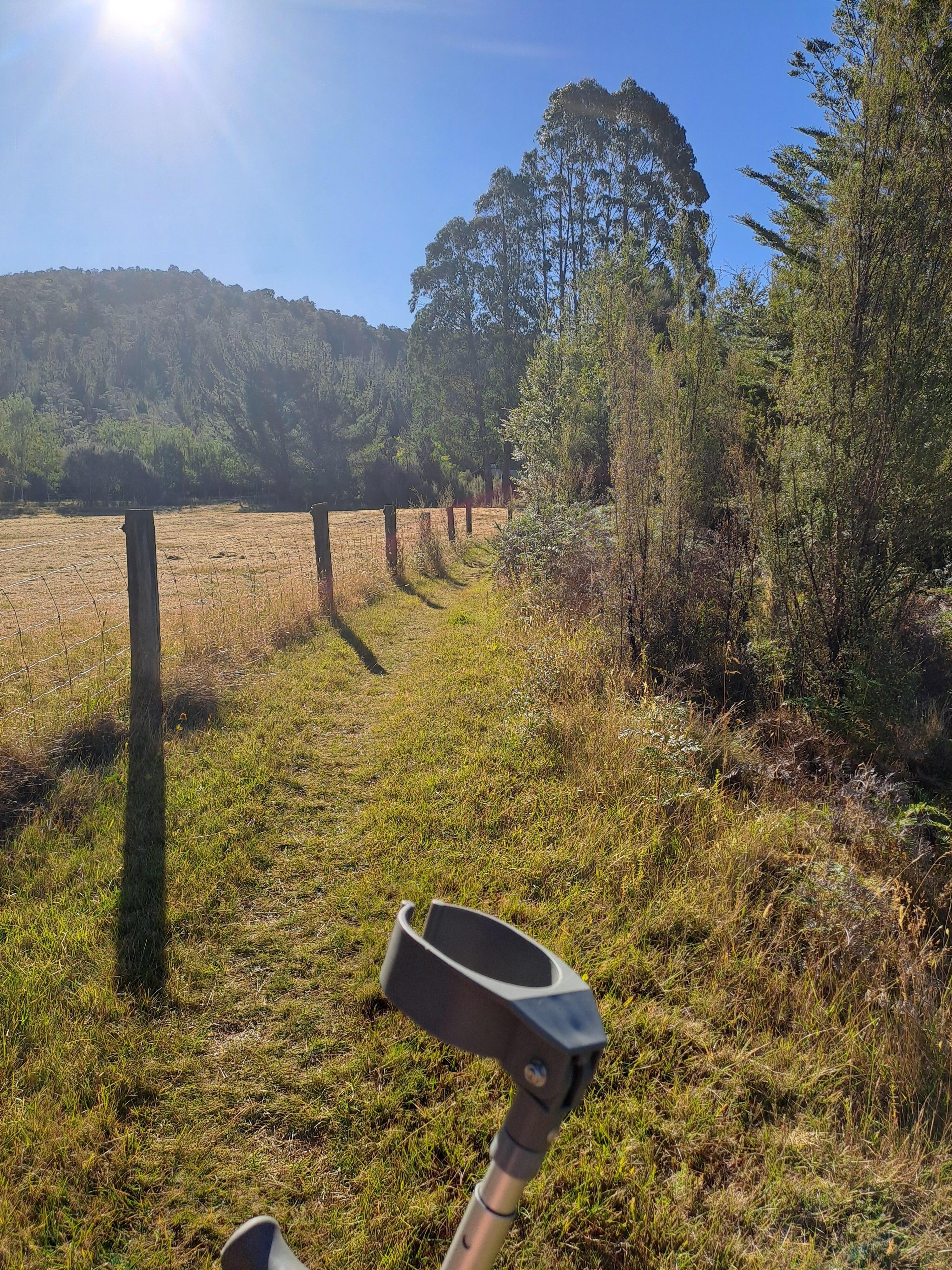 Steep climb off bridge to narrow grass path to cabin behind trees.