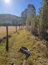 Steep climb off bridge to narrow grass path to cabin behind trees.