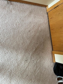 Filthy, stained carpets