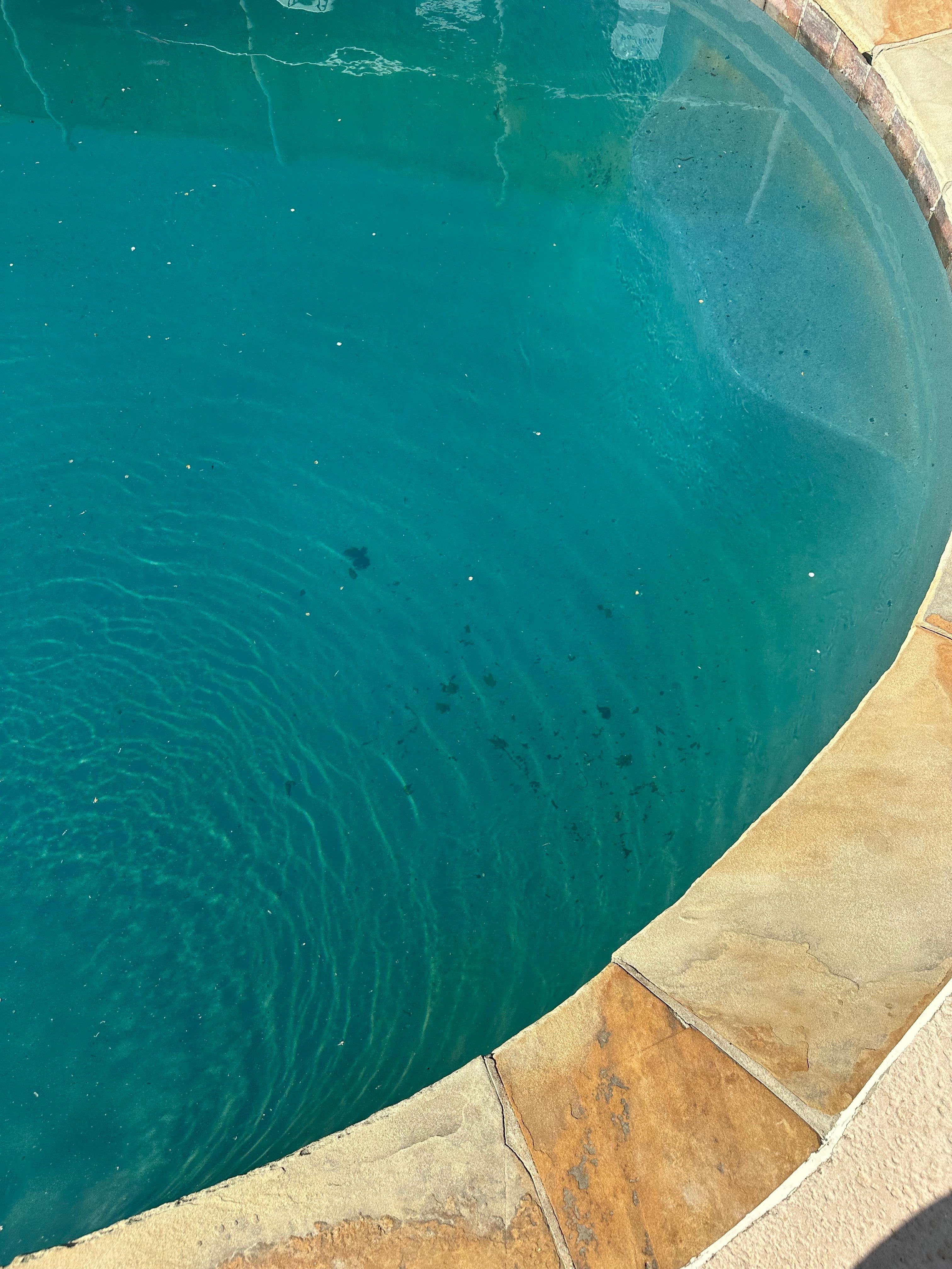 Around the pool area was also dirty. 