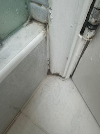 Filthy bathrooms with layers and layers of old paint around doorframes, filthy grouting and ruined shower cubicles (all bathrooms)