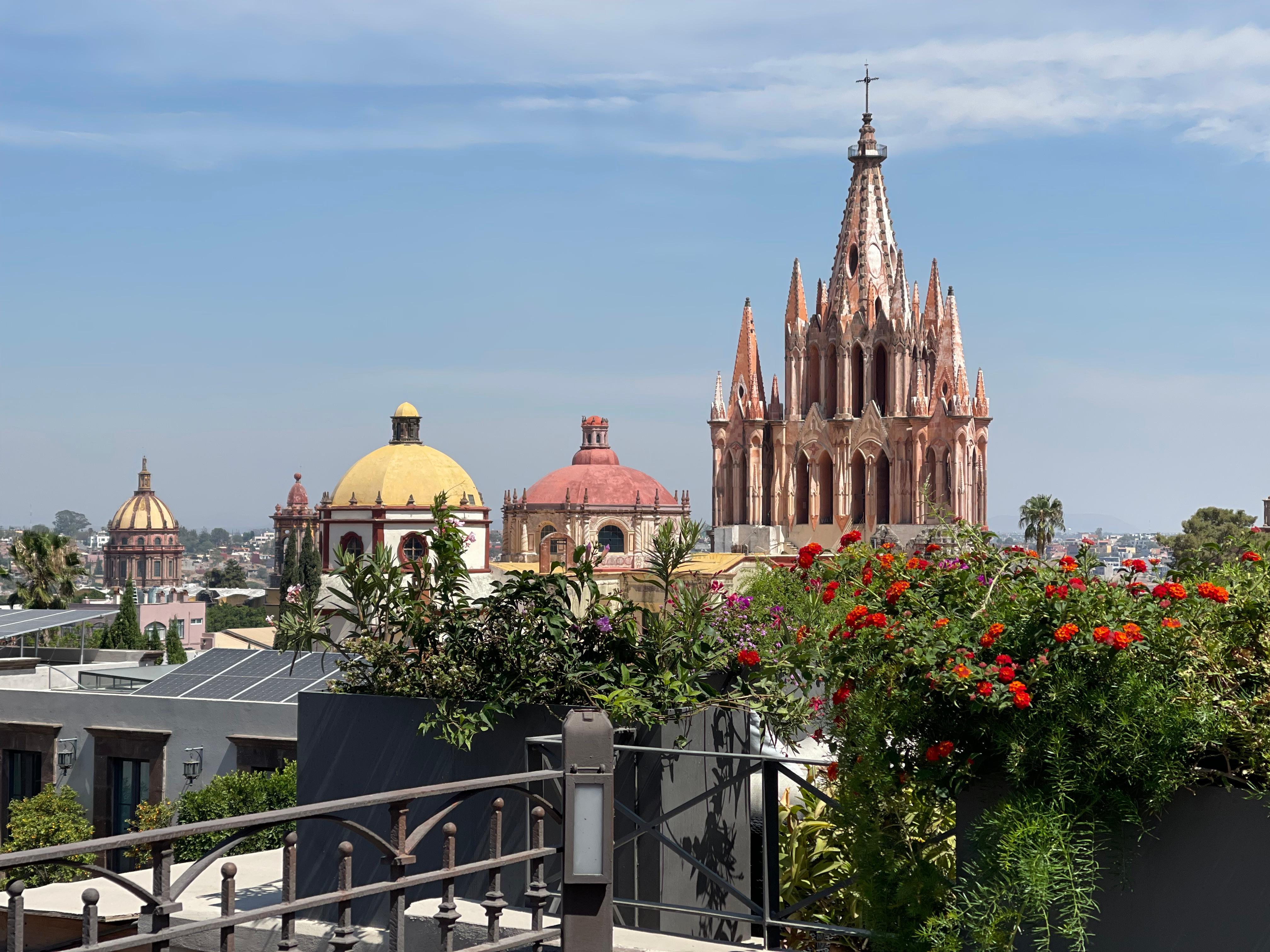 View from the rooftop deck