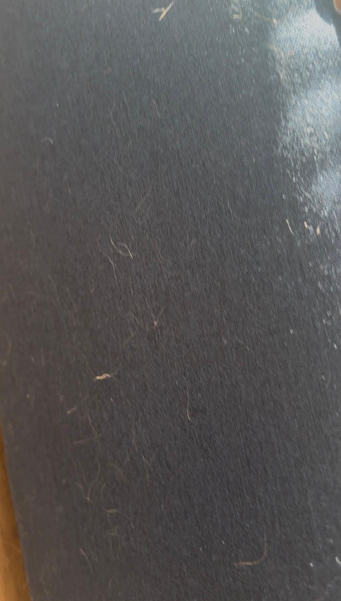 Dog hair on the headboard 