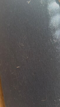 Dog hair on the headboard