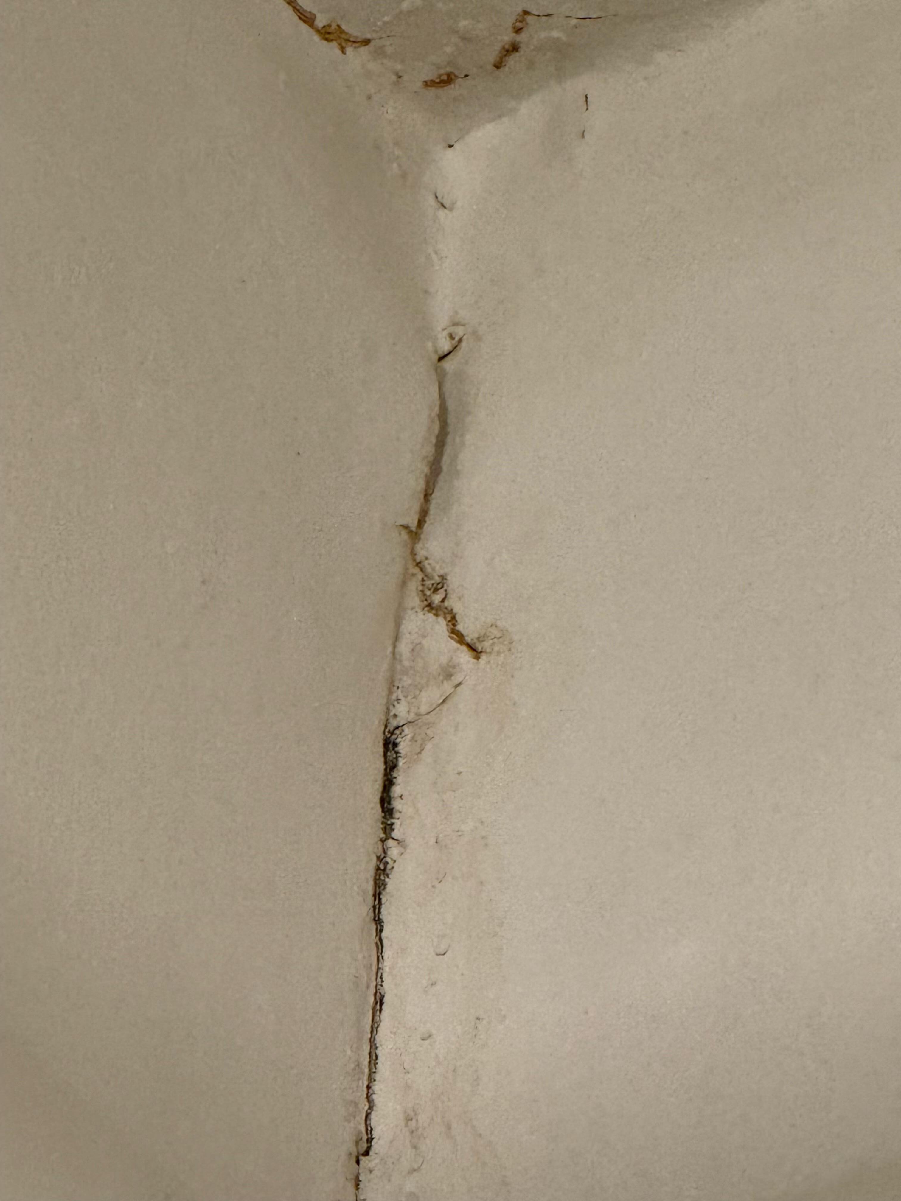 Black mold from the shower is growing.  My kids were coughing the entire time we were in the rooms.  Coughing went away once we left