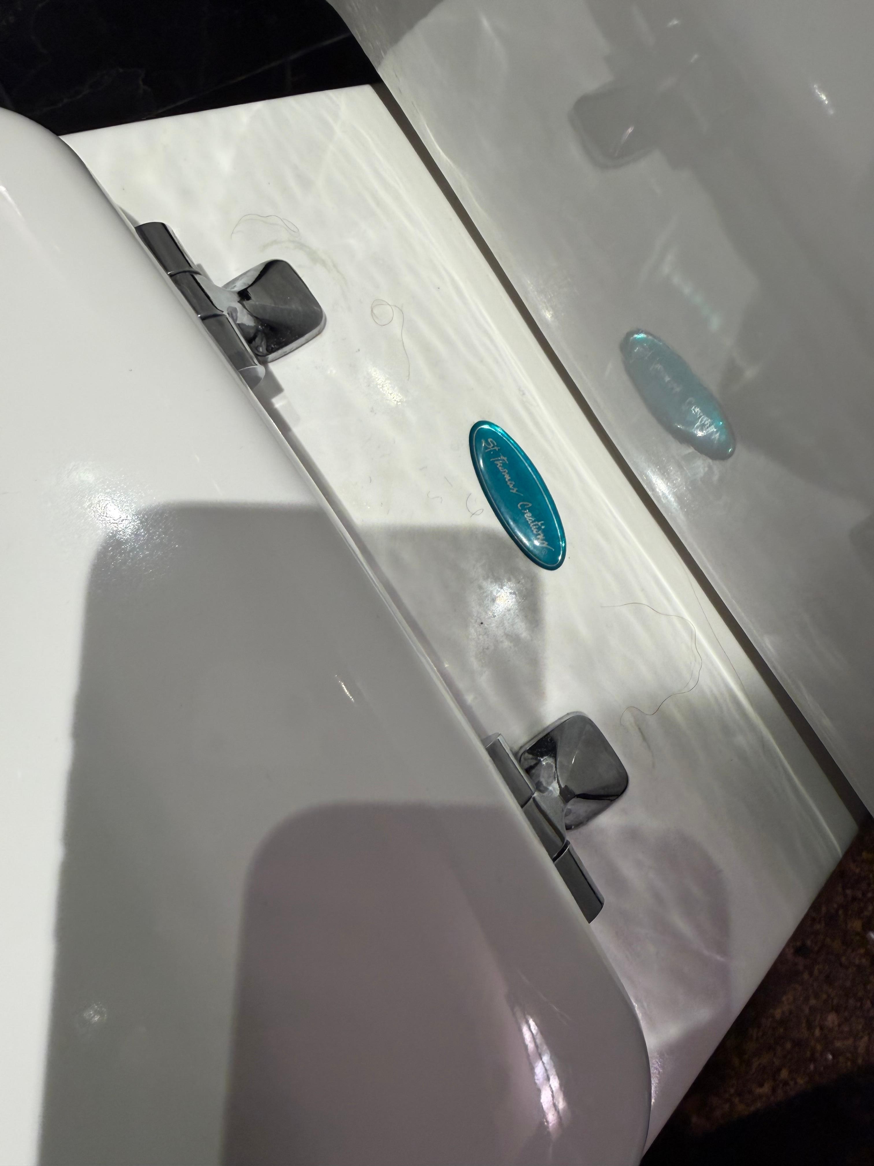 The hair on the toilet when I checked in 