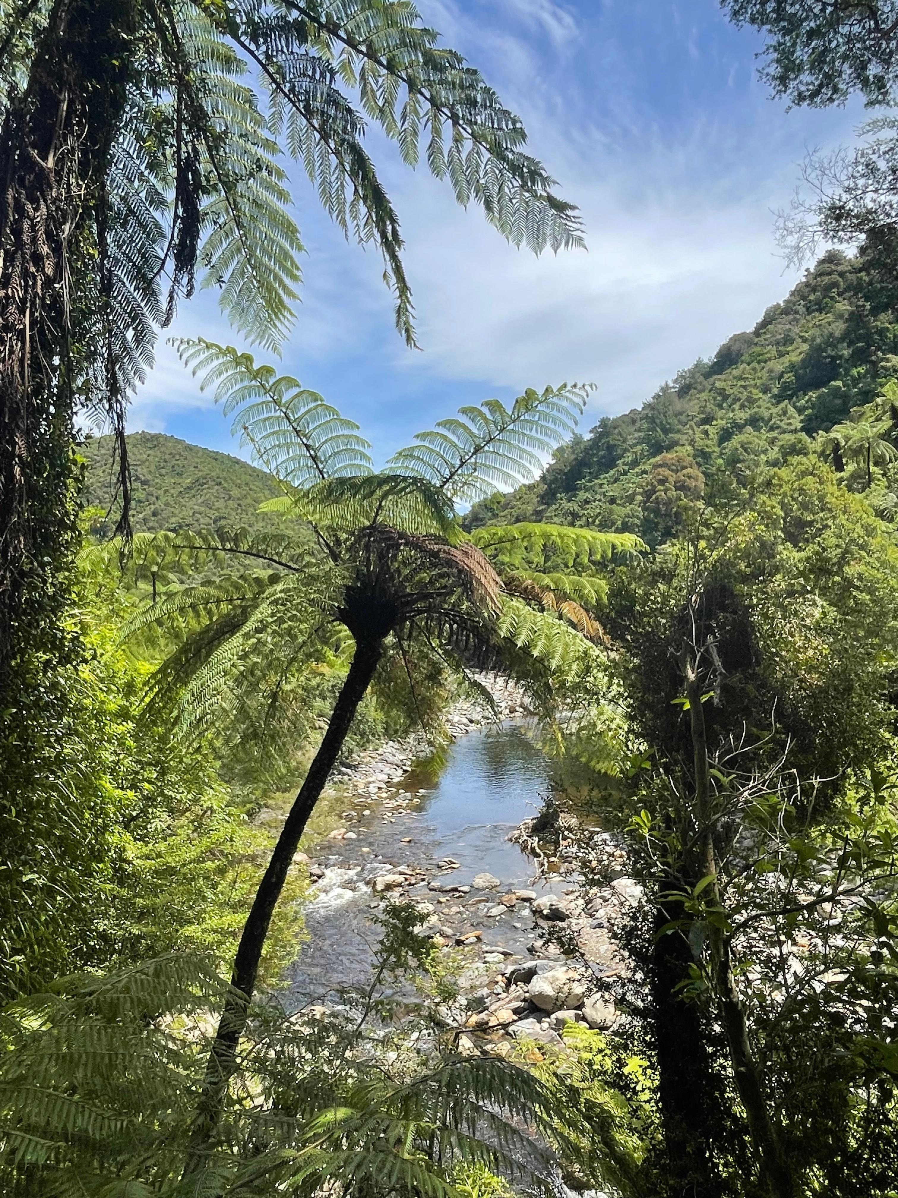 View from one of the tracks