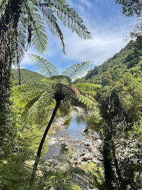 View from one of the tracks
