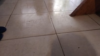 Piso sujo