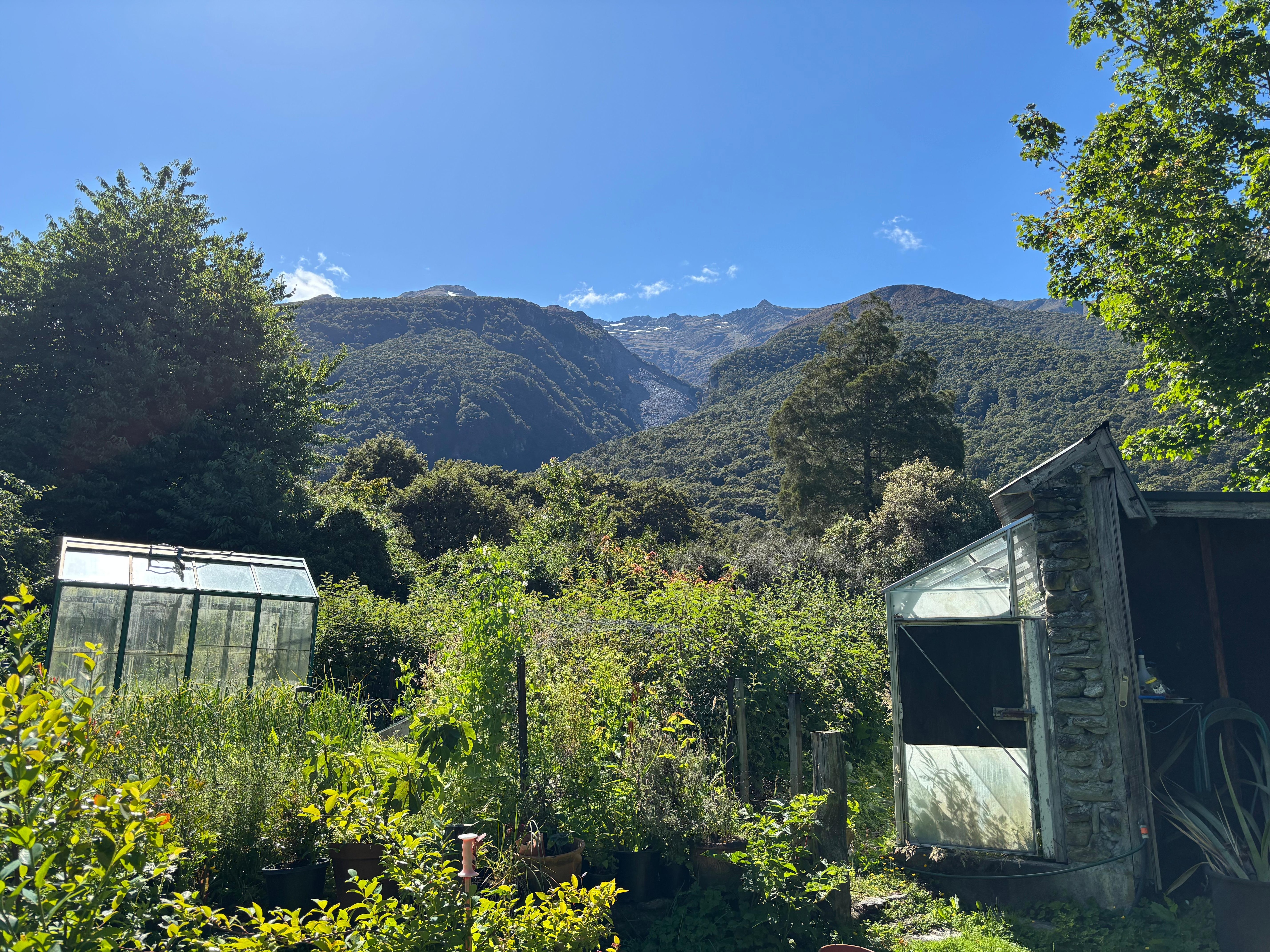 View from the back up to the mountains 