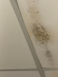 Ceiling