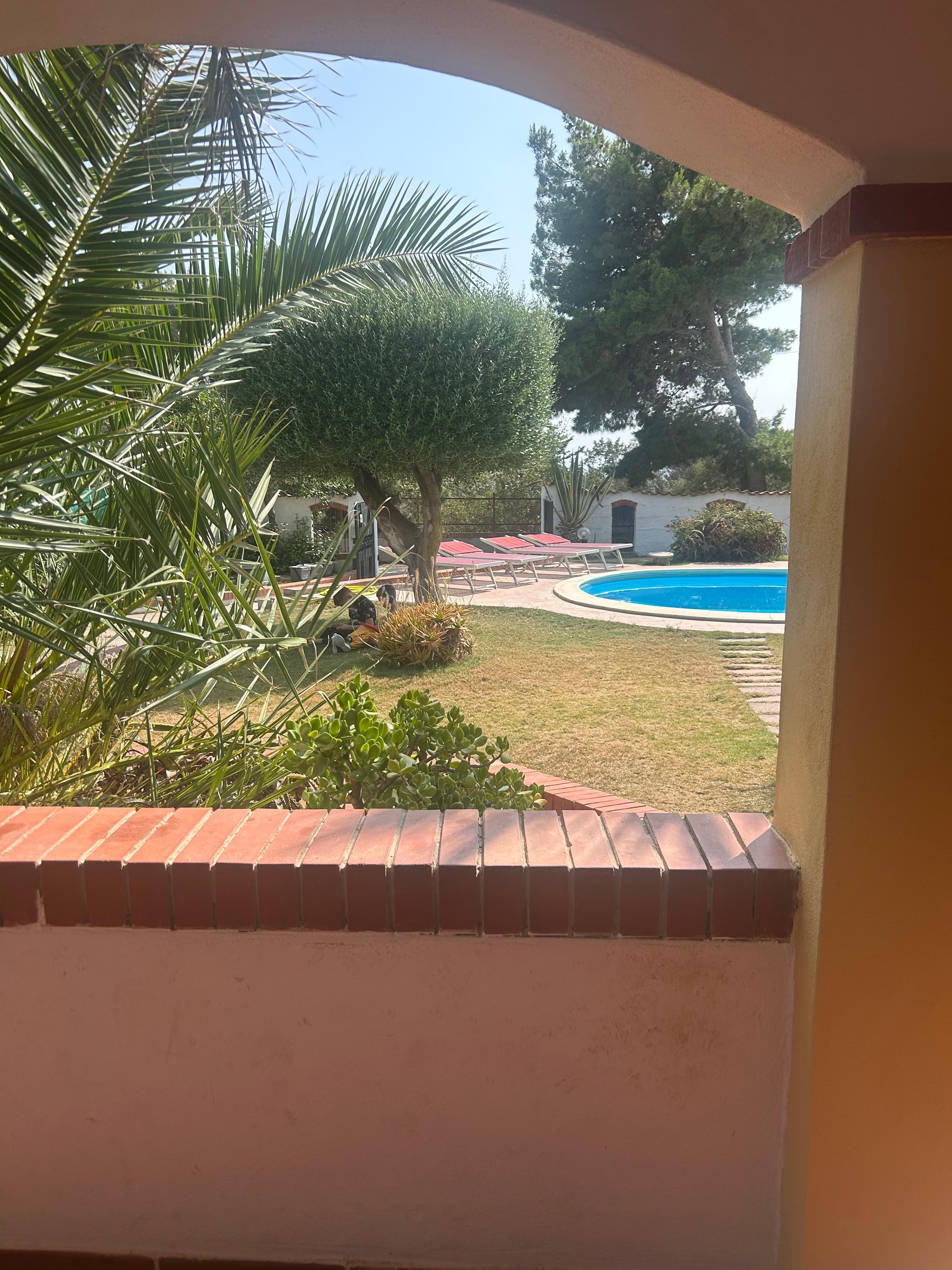 Blick vom Patio auf den Garten