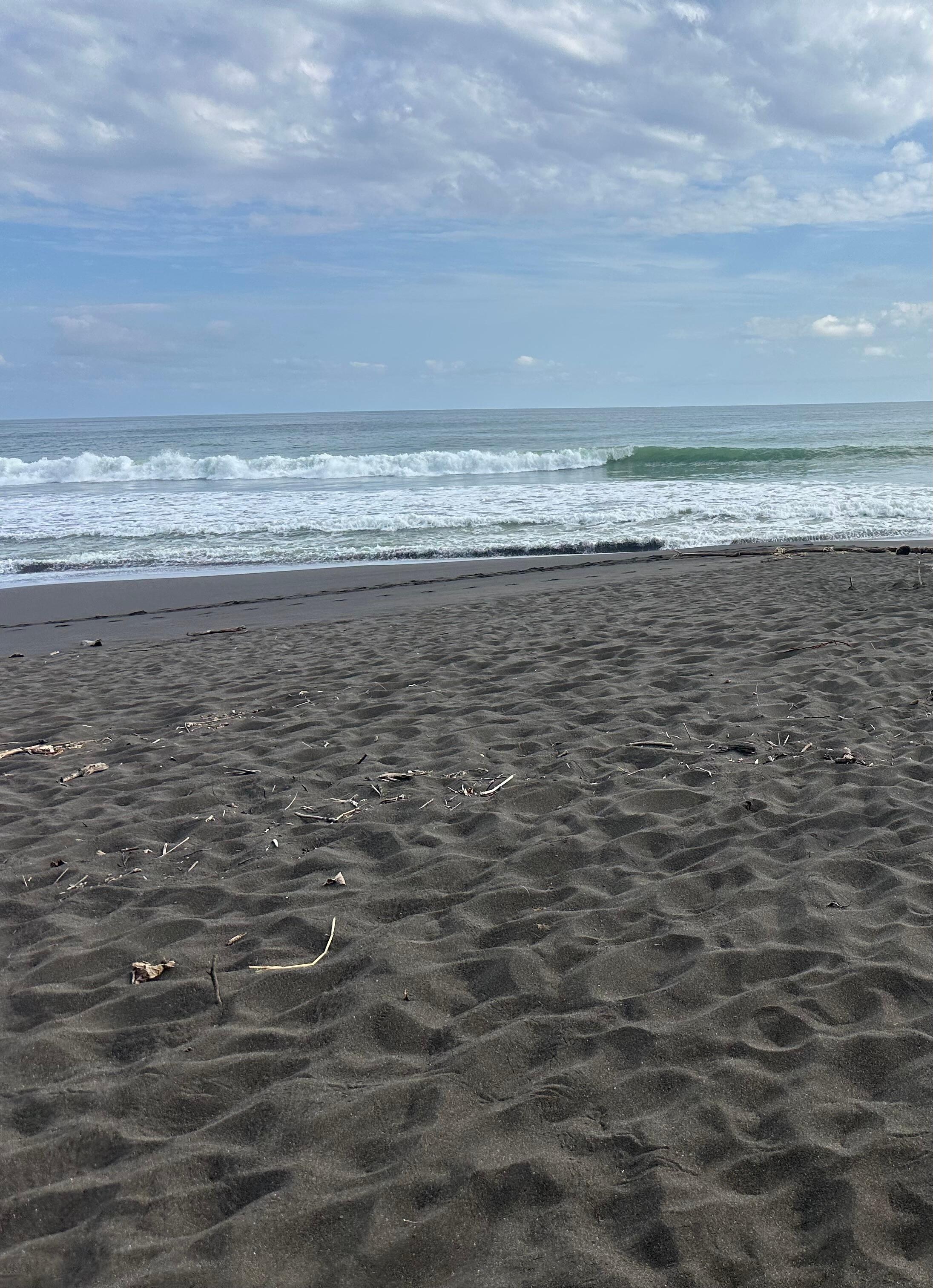 Waves were amazing.