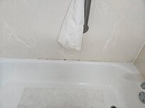 Mold and dirt