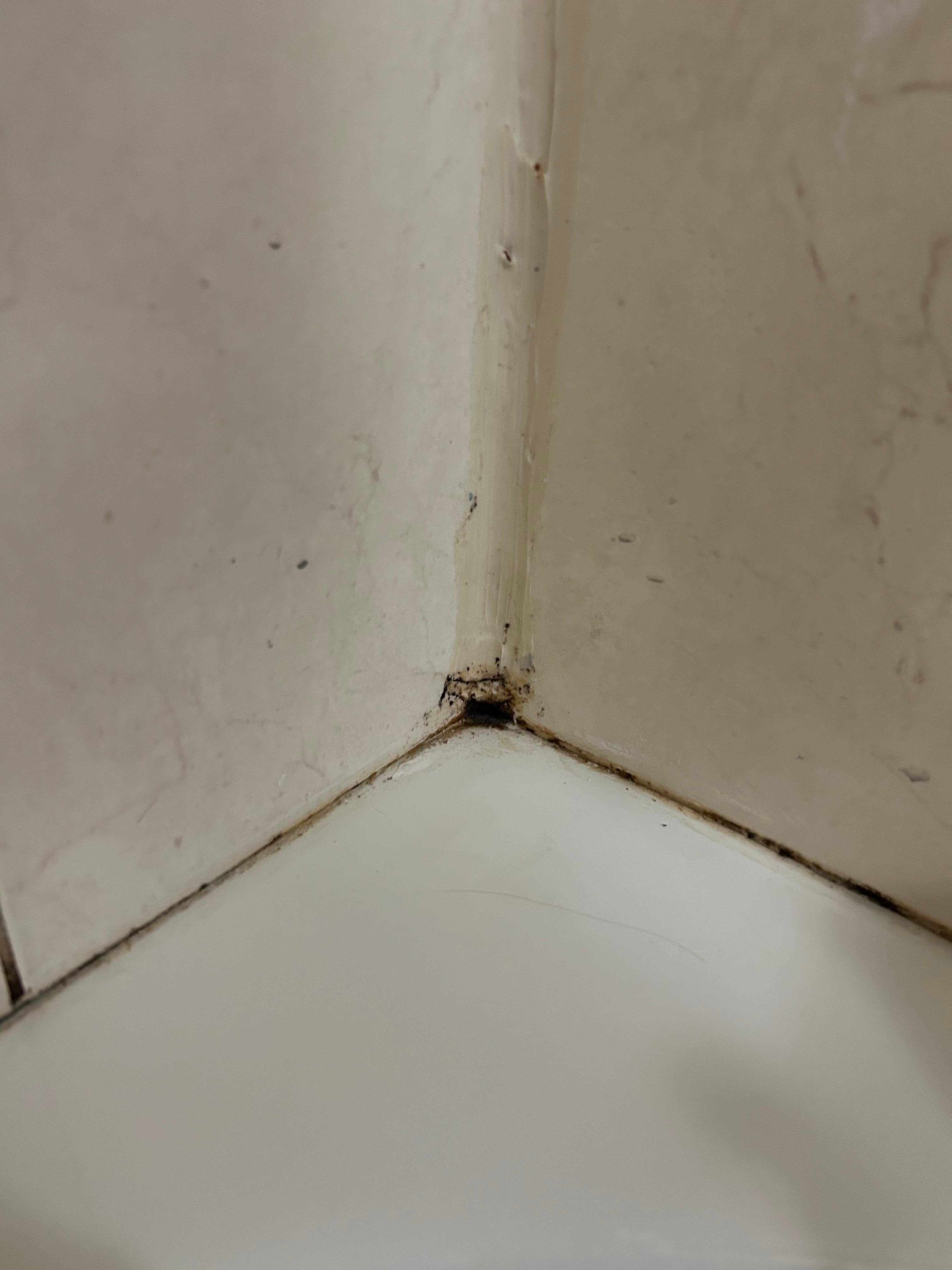 Mold around bathtub