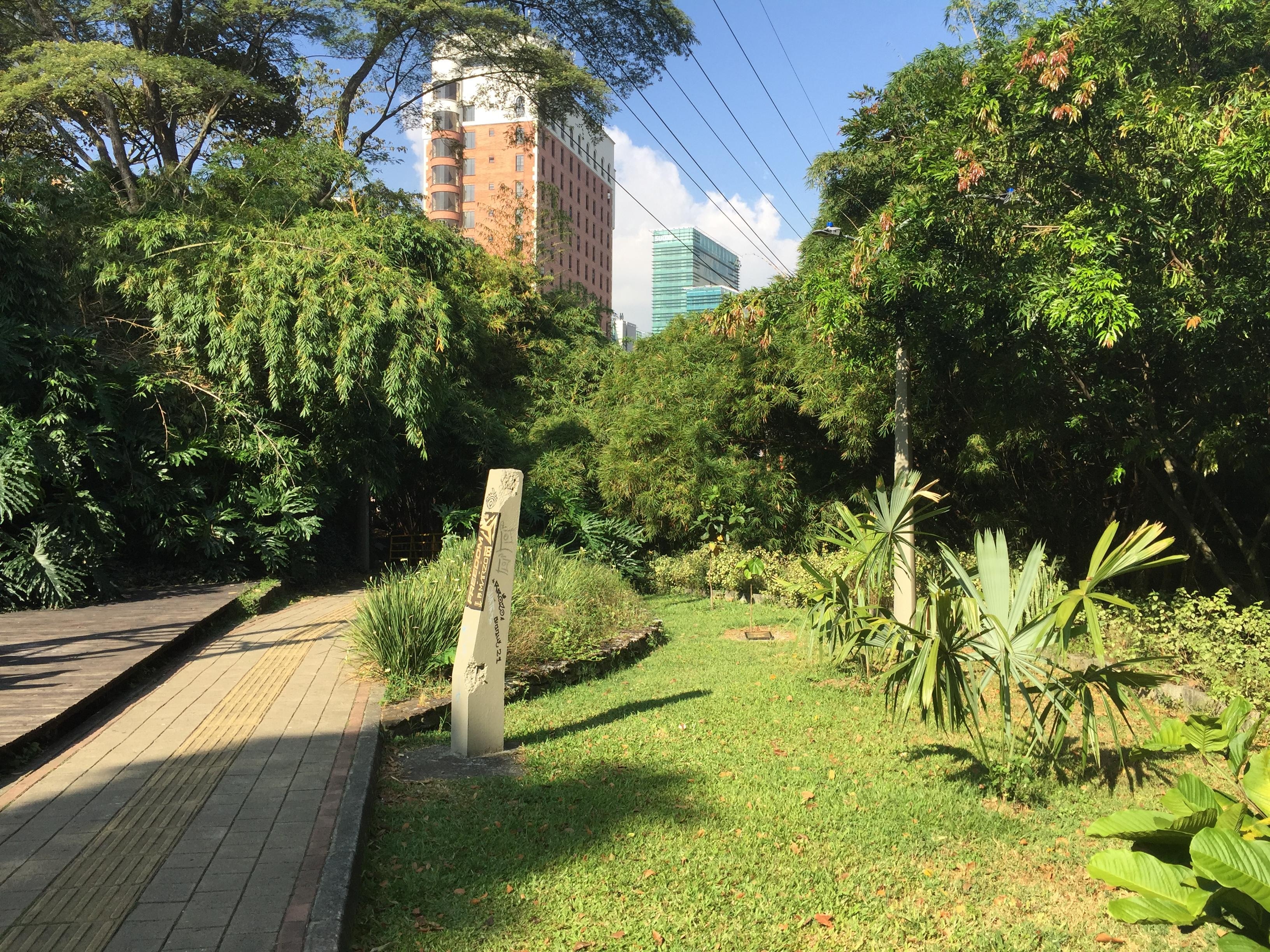 Hotel from adjacent park