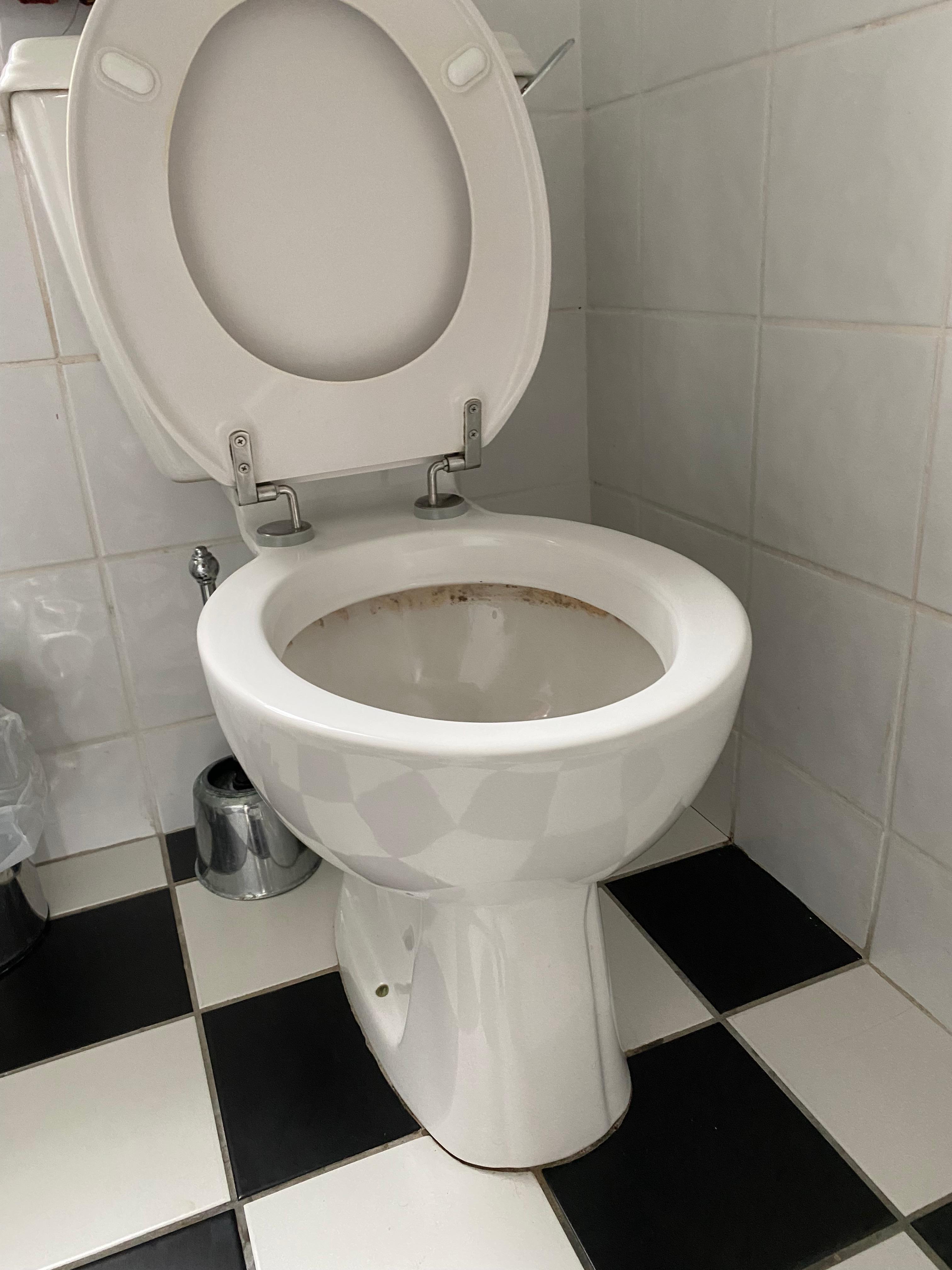 Filthy toilet 