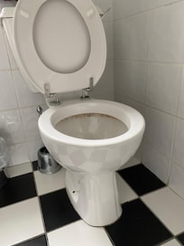 Filthy toilet