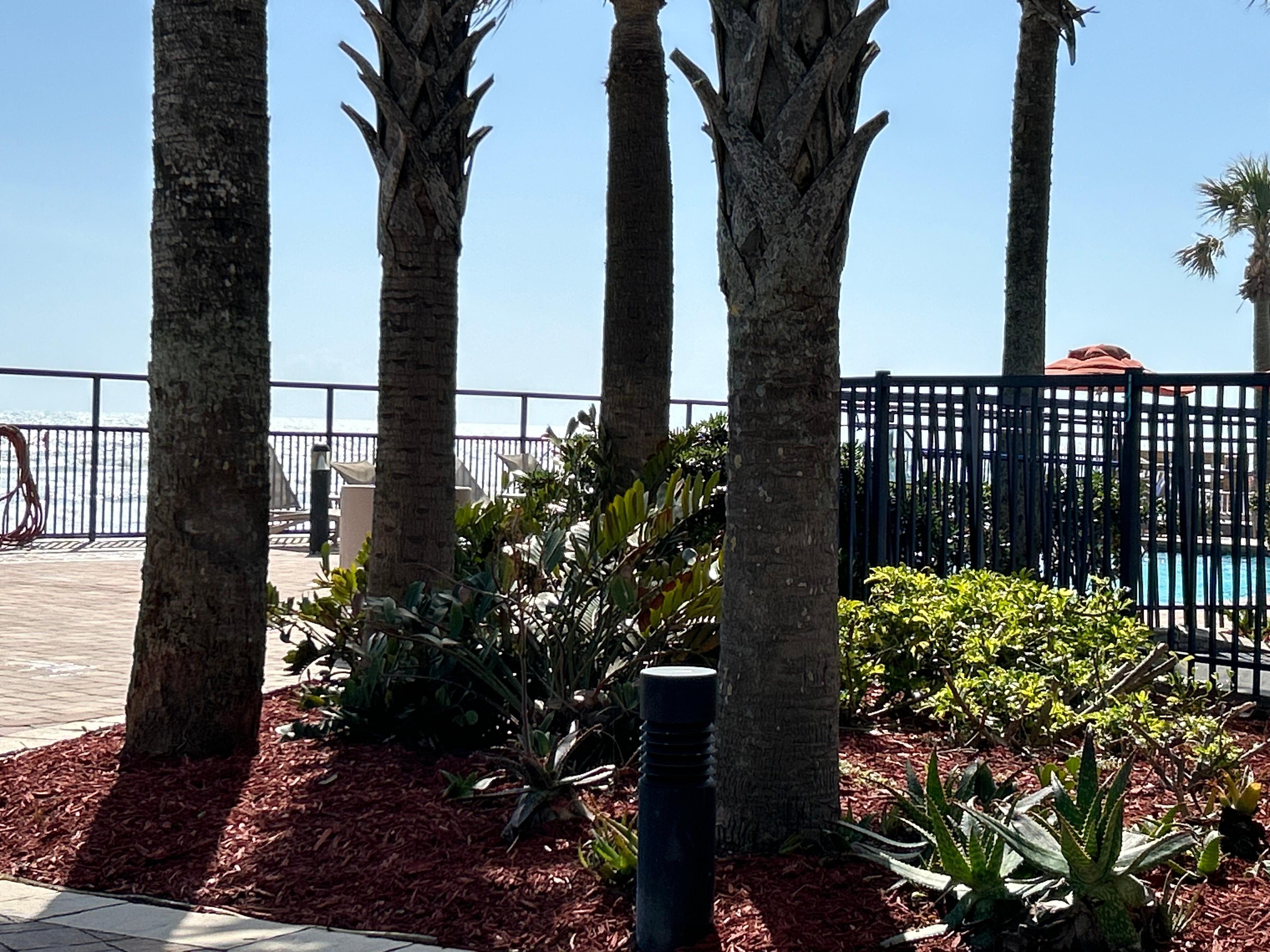 Pool deck