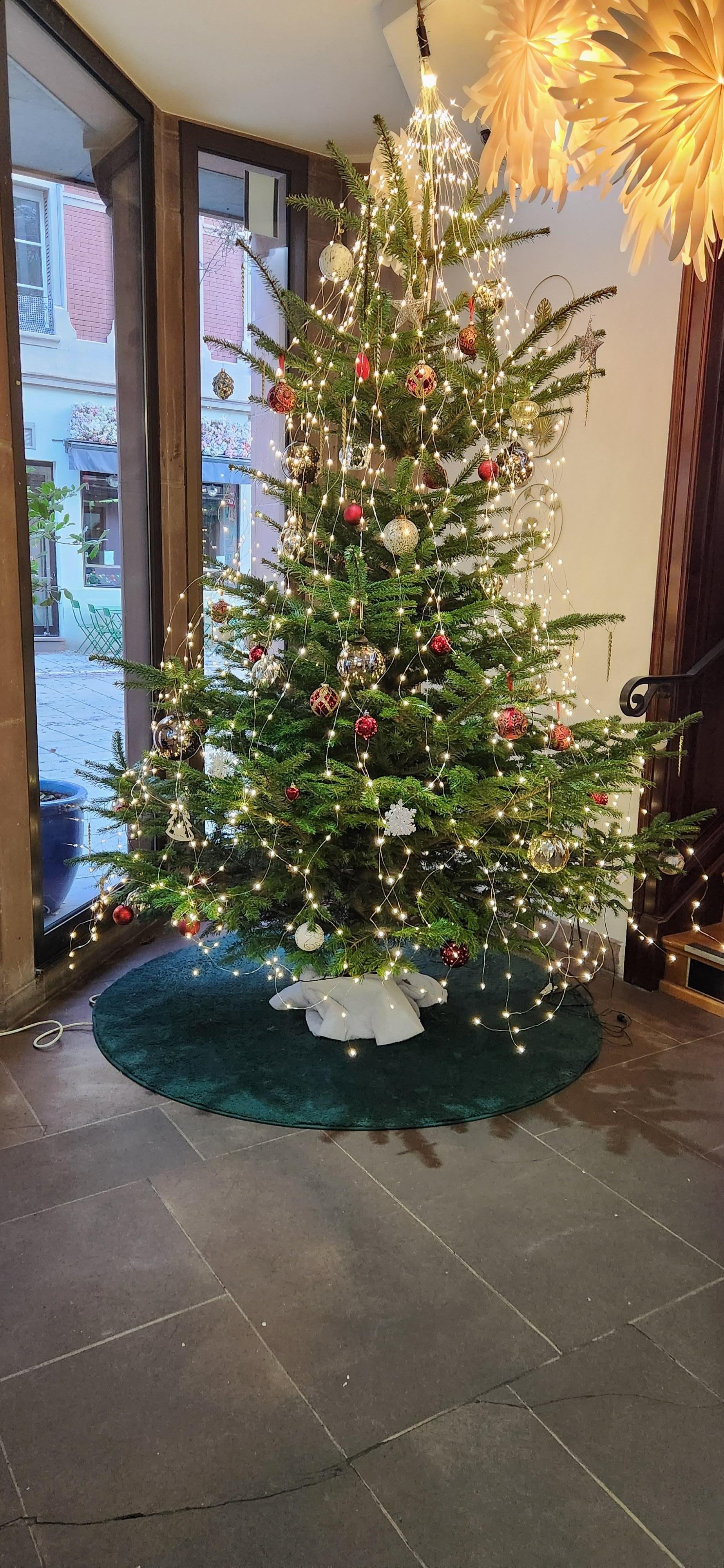 Lobby decorated for Christmas!