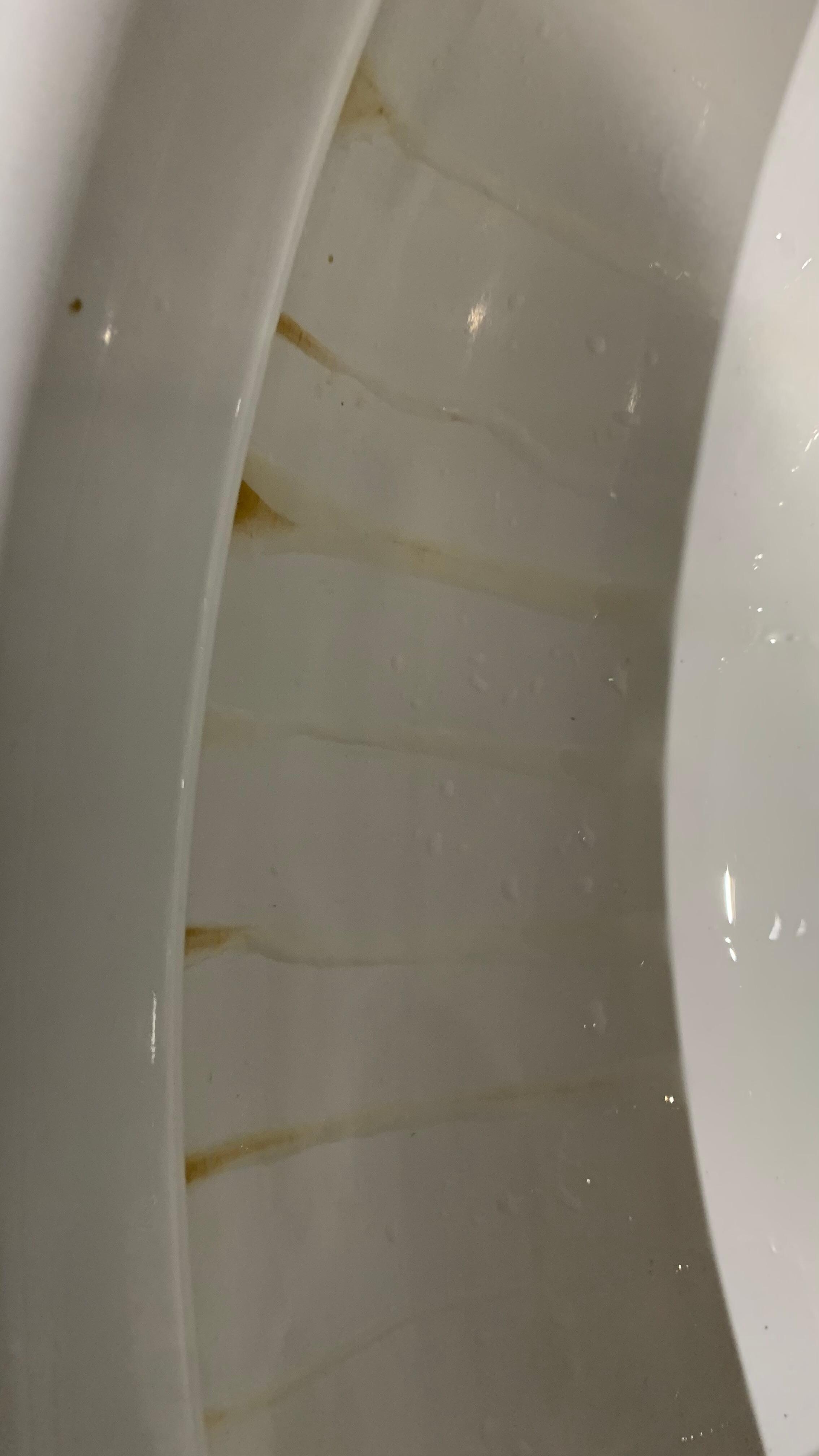 La cuvette de la toilette déguelase