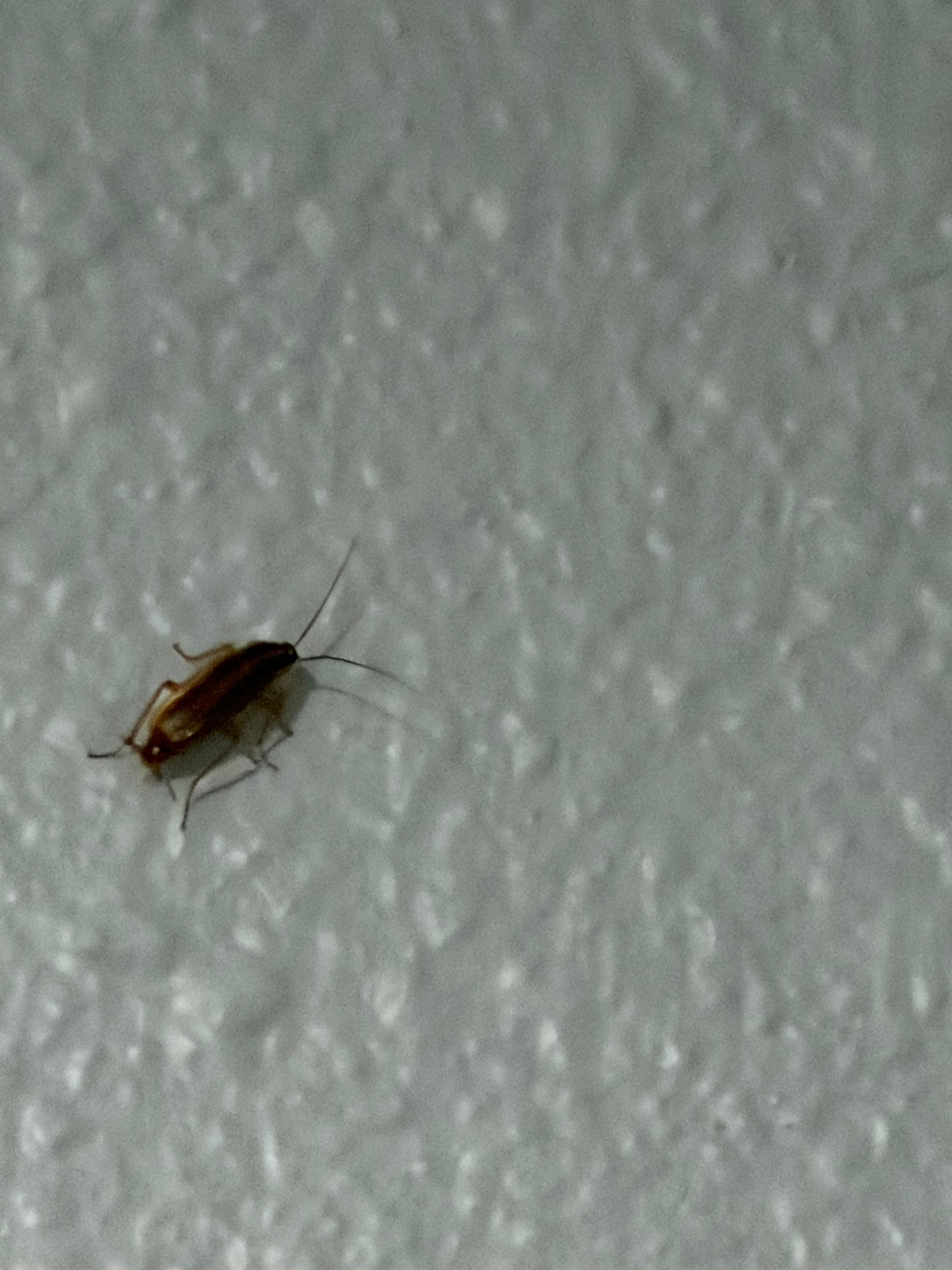 another one in the wall 