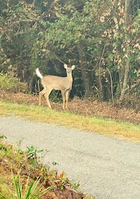 One of the locals
