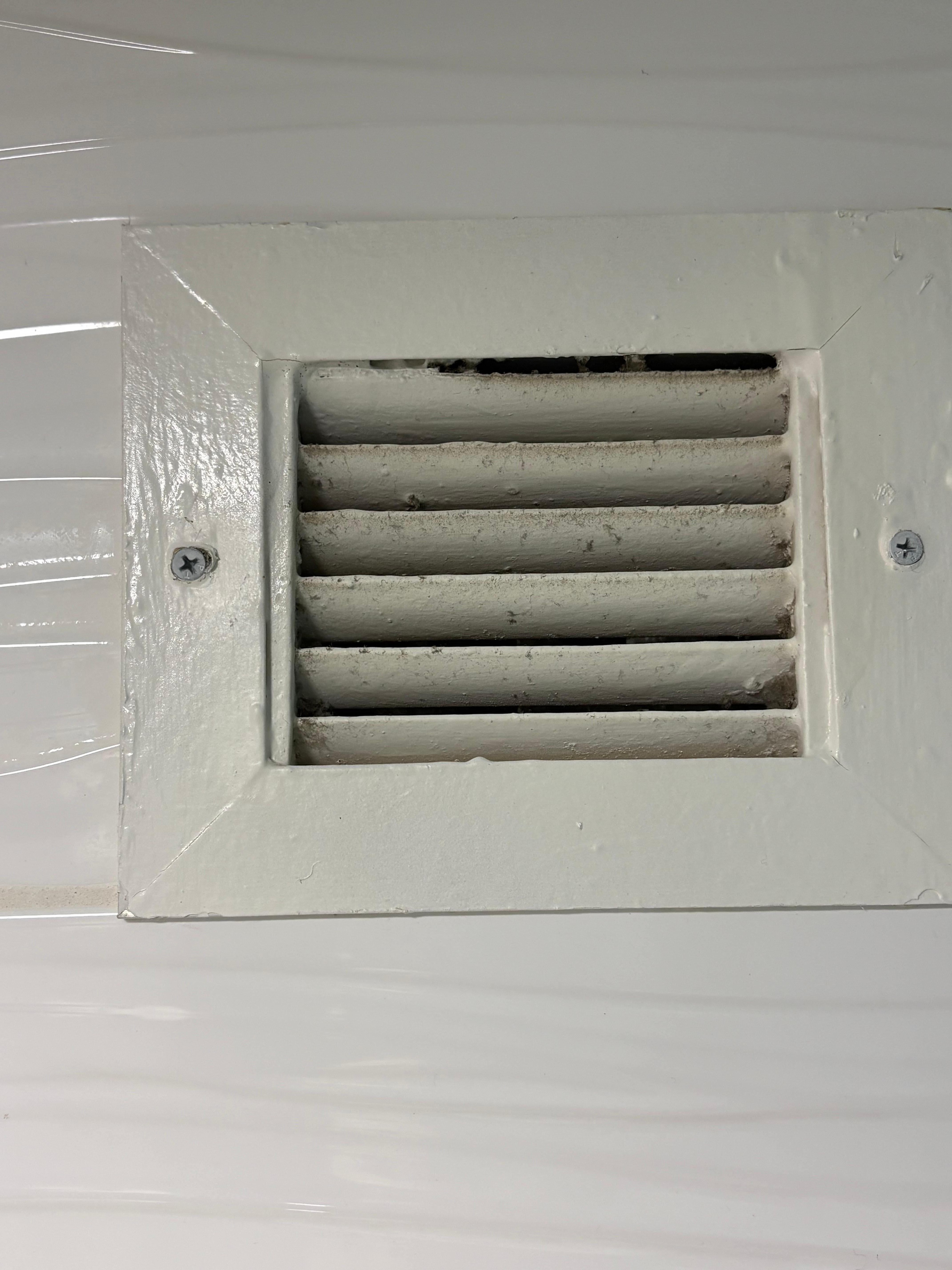 Filthy bathroom vent