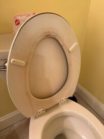 Toilet seat totally worn out