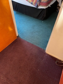 Stained, smelly carpets