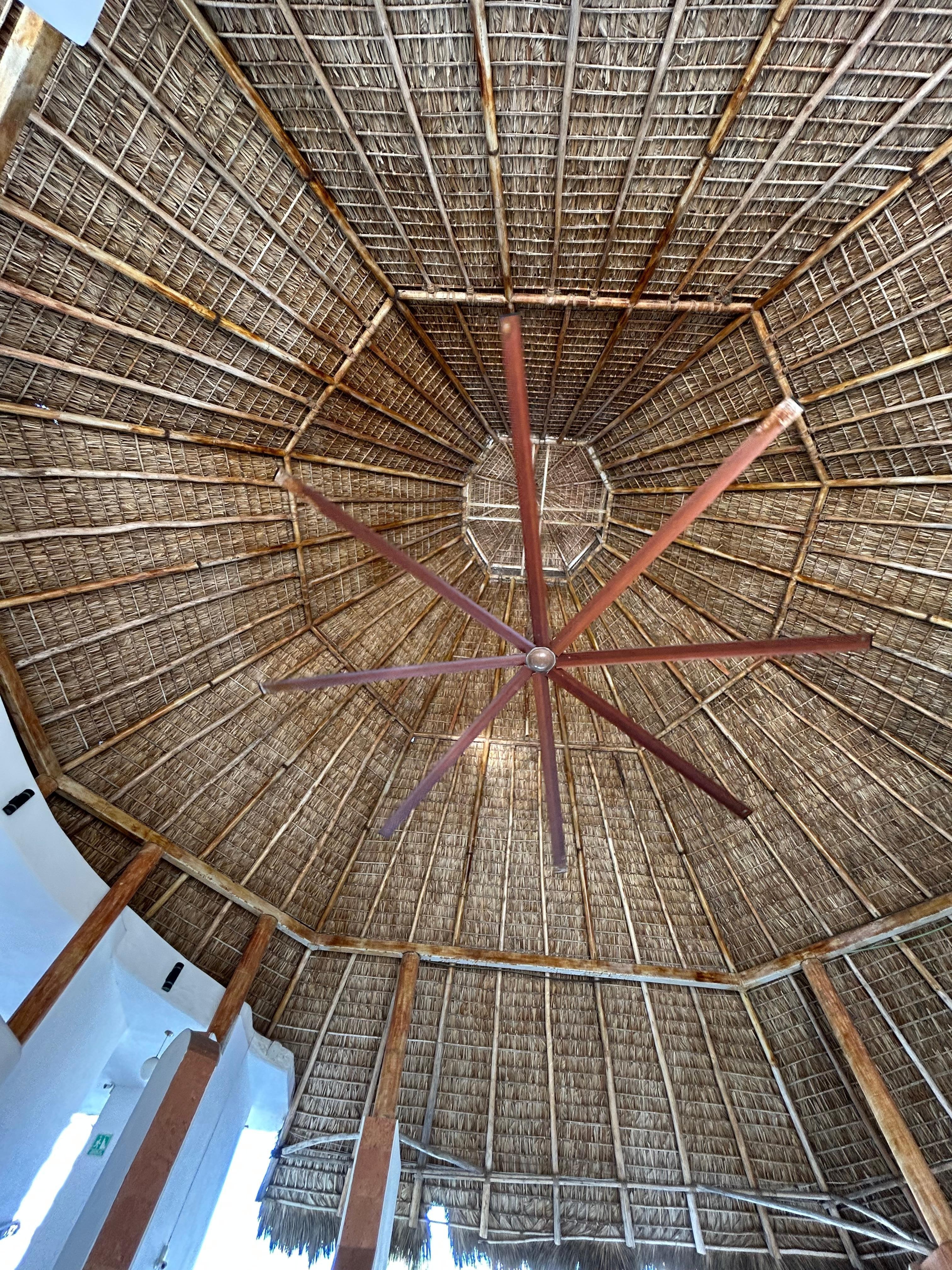 Fan in the Palapa at reception 