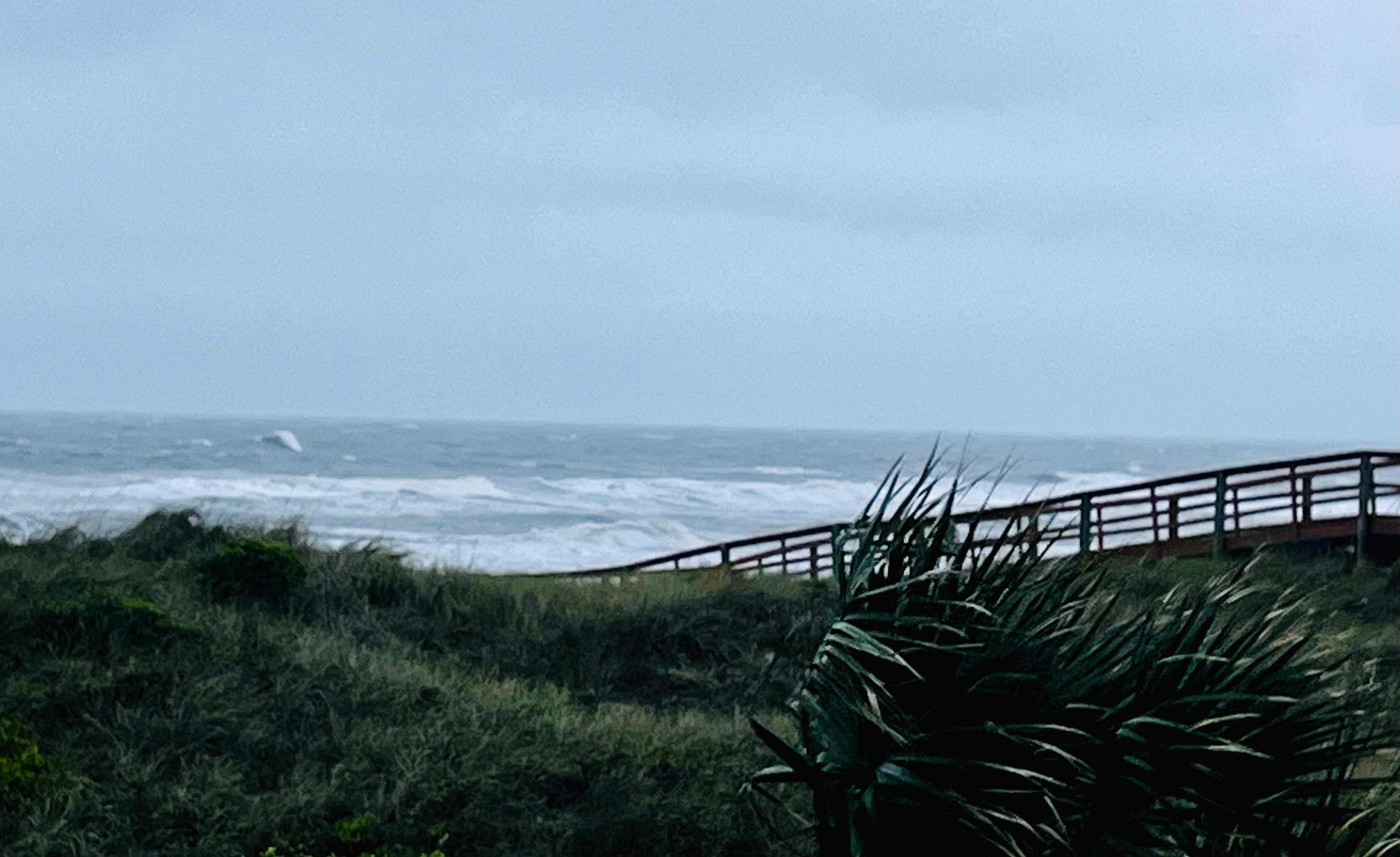 Beauty in the storm! 