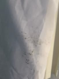 Mold on curtain at window. Room damp even with air conditioning