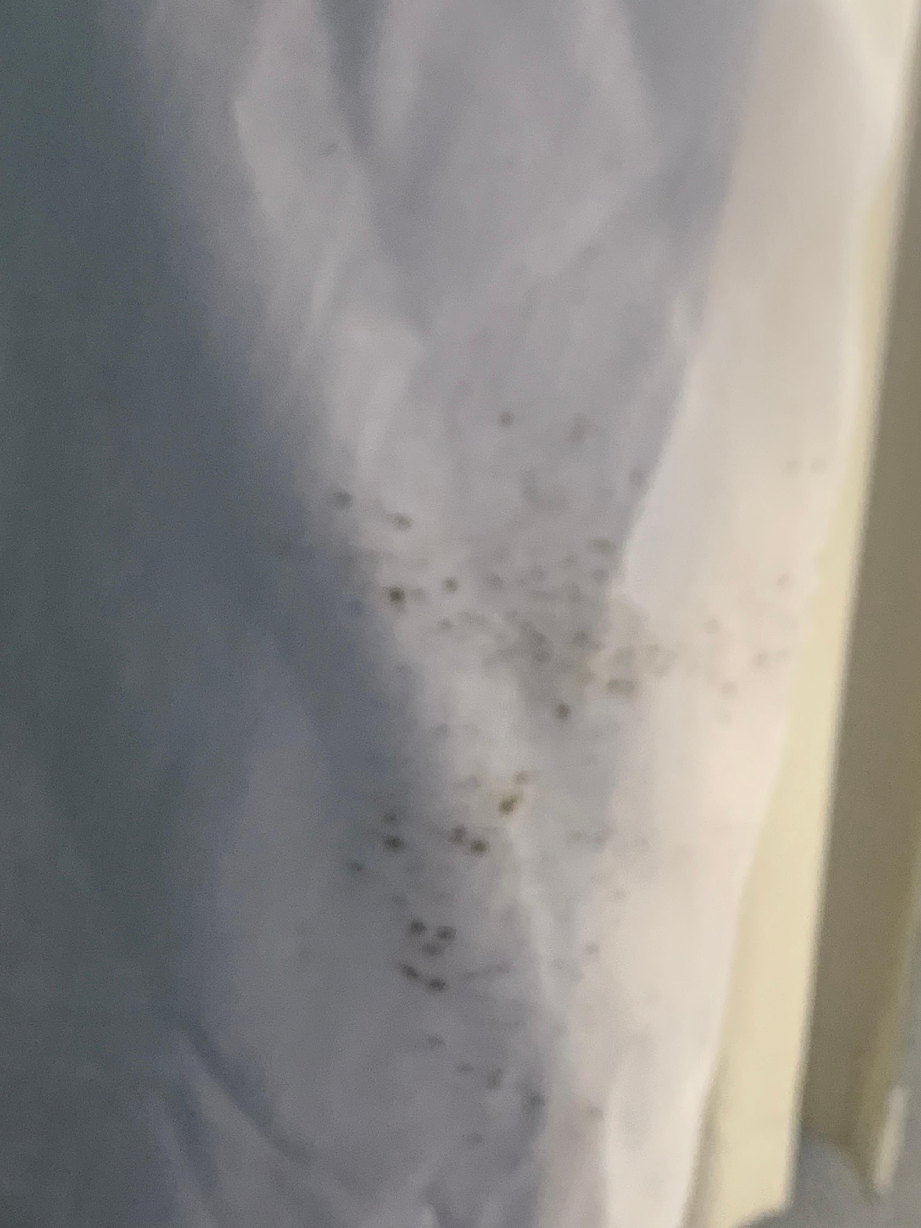 Mold on curtain at window. Room damp even with air conditioning 