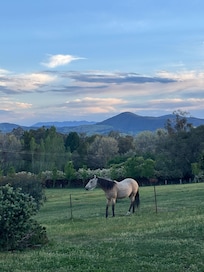 Mountain view from the house