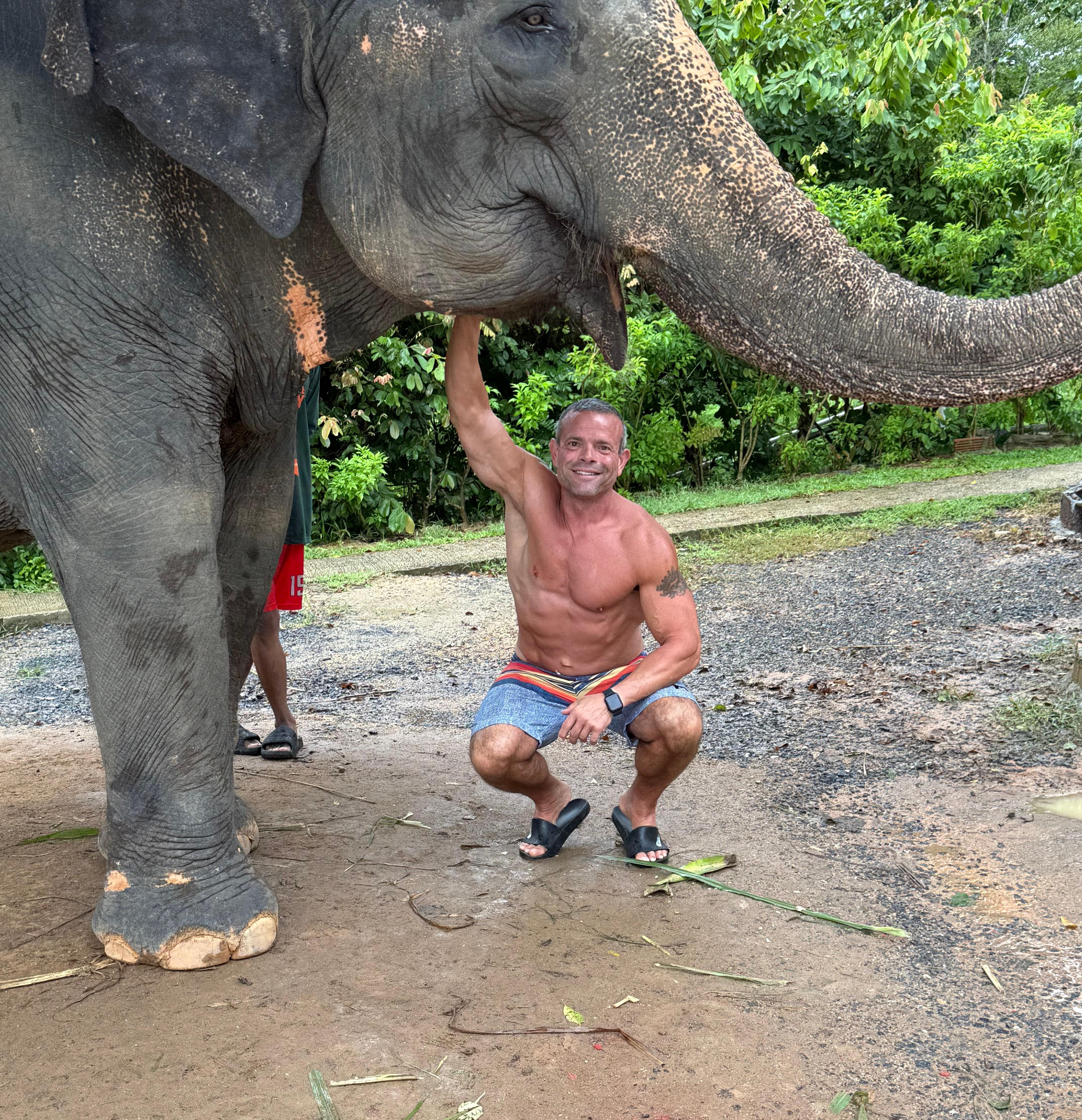 This is an Elephant friend of mine 