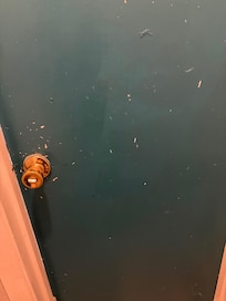 Bathroom door had paint peeling off