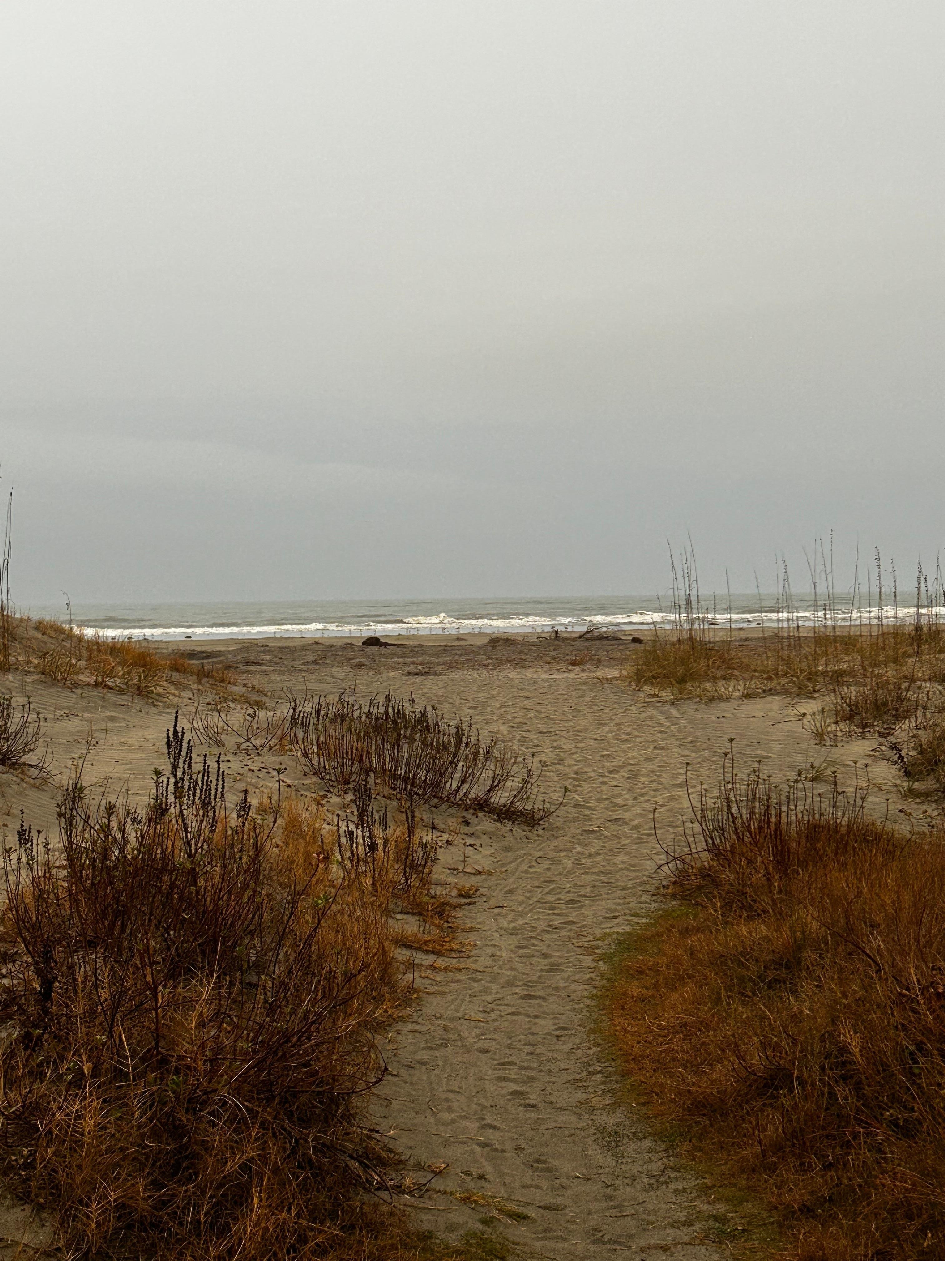 The beach is literally steps away