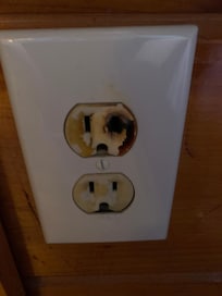 Fried outlet